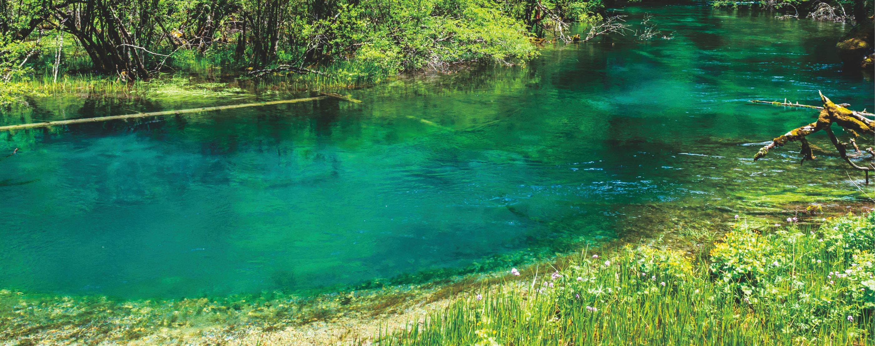 �������ǲ���(�й���)�ٷ���վ